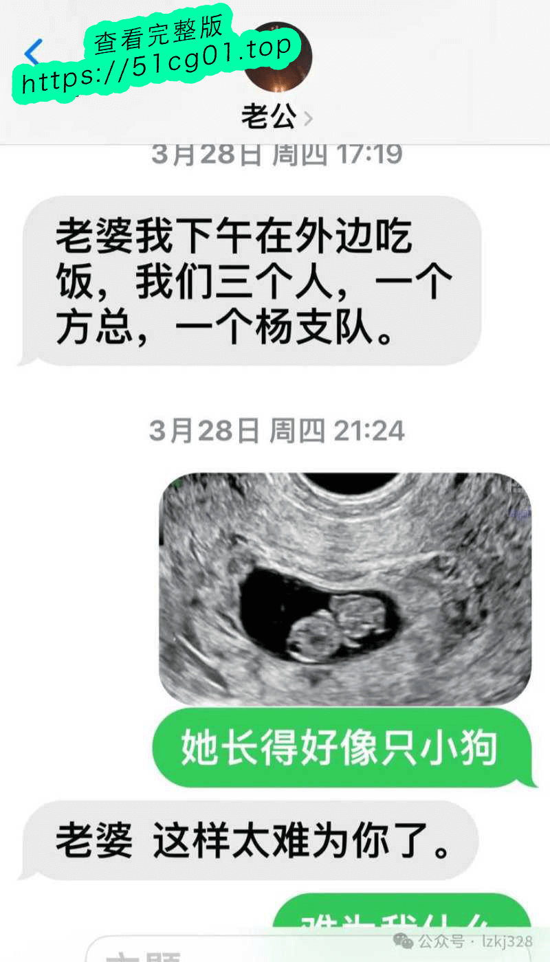 下载 (21).png